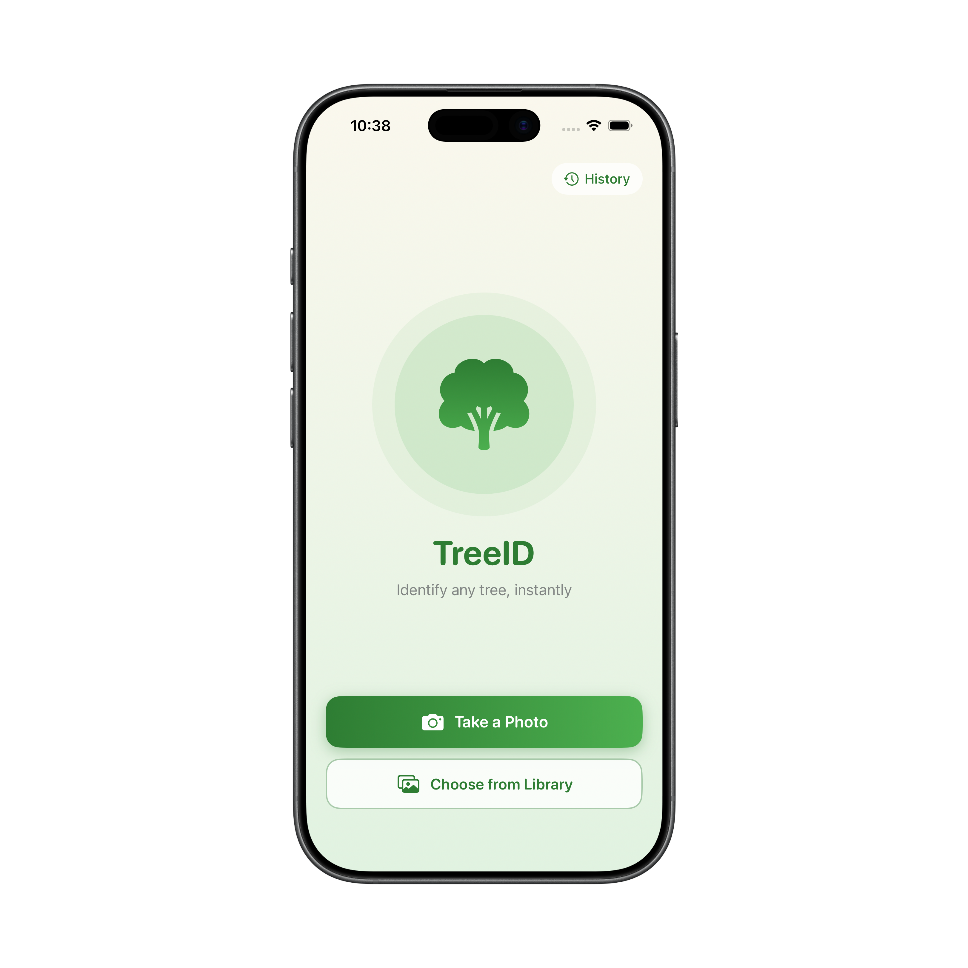 TreeID app icon — a tree illustrated in dots
