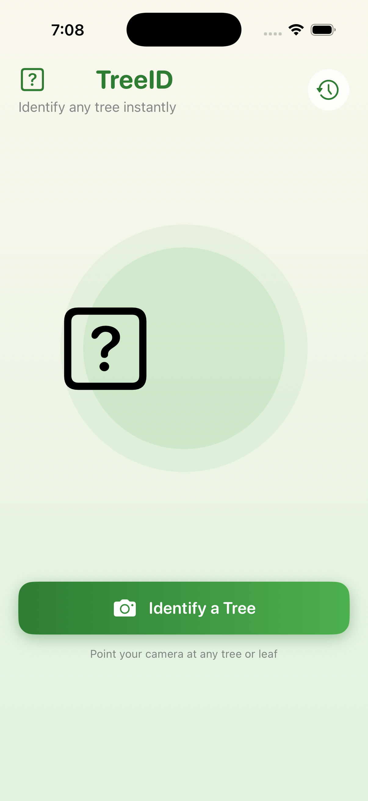 Iteration 1 home screen — camera viewfinder UI with a question mark placeholder, a button to identify a tree, and the prompt 'point your camera at any tree or leaf'